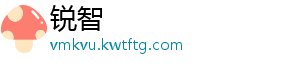 锐智